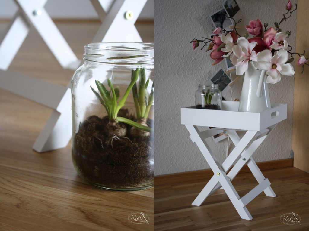 Frühlingsdeko basteln mit Naturmaterialien Blumenzwiebeln