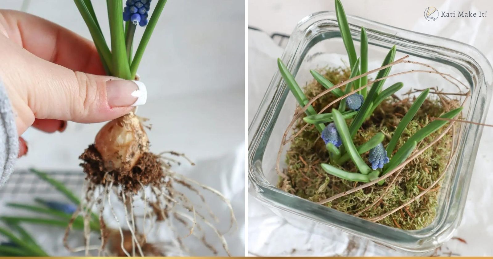 Frühlingsdeko im Glas: Eine nachhaltige Deko-Idee die einfach und schnell gemacht ist mit Naturmaterialien und Traubenhyazinthen im Glas.