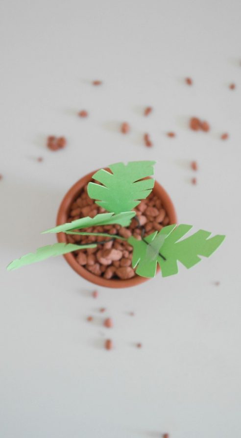 GROW UP LITTLE PLANT | Pflanzen aus Papier