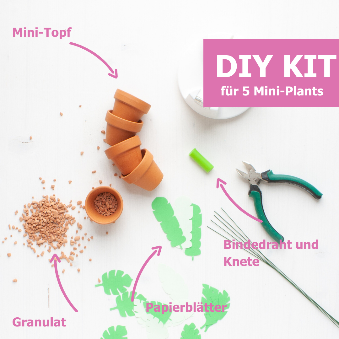 DIY KIT Produkt Pflanzen aus Papier