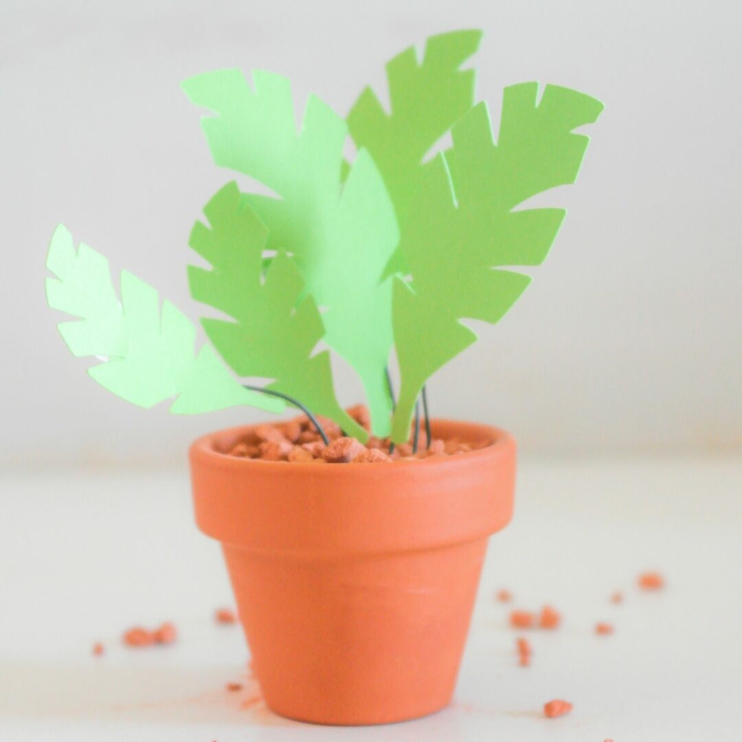 DIY KIT Produkt Pflanzen aus Papier