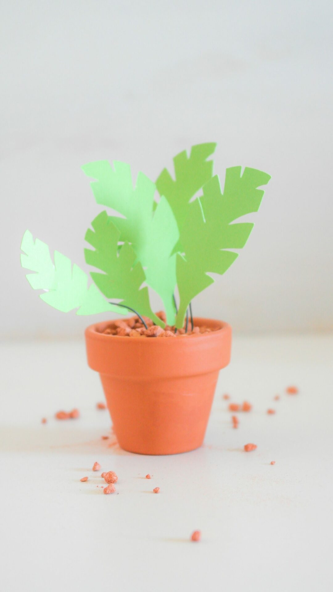 DIY KIT Produkt Pflanzen aus Papier