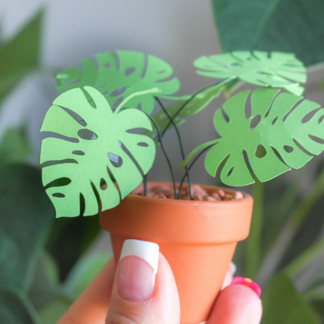 DIY KIT Produkt Pflanzen aus Papier