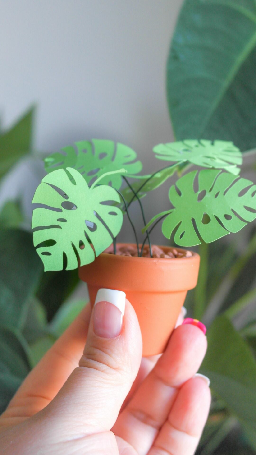 DIY KIT Produkt Pflanzen aus Papier