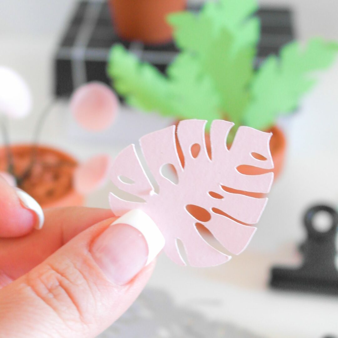 DIY KIT Produkt Pflanzen aus Papier