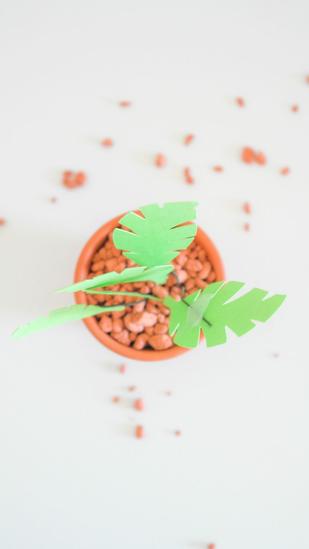 DIY KIT Produkt Pflanzen aus Papier
