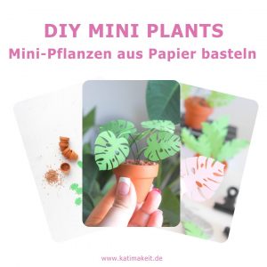 DIY Mini Plants