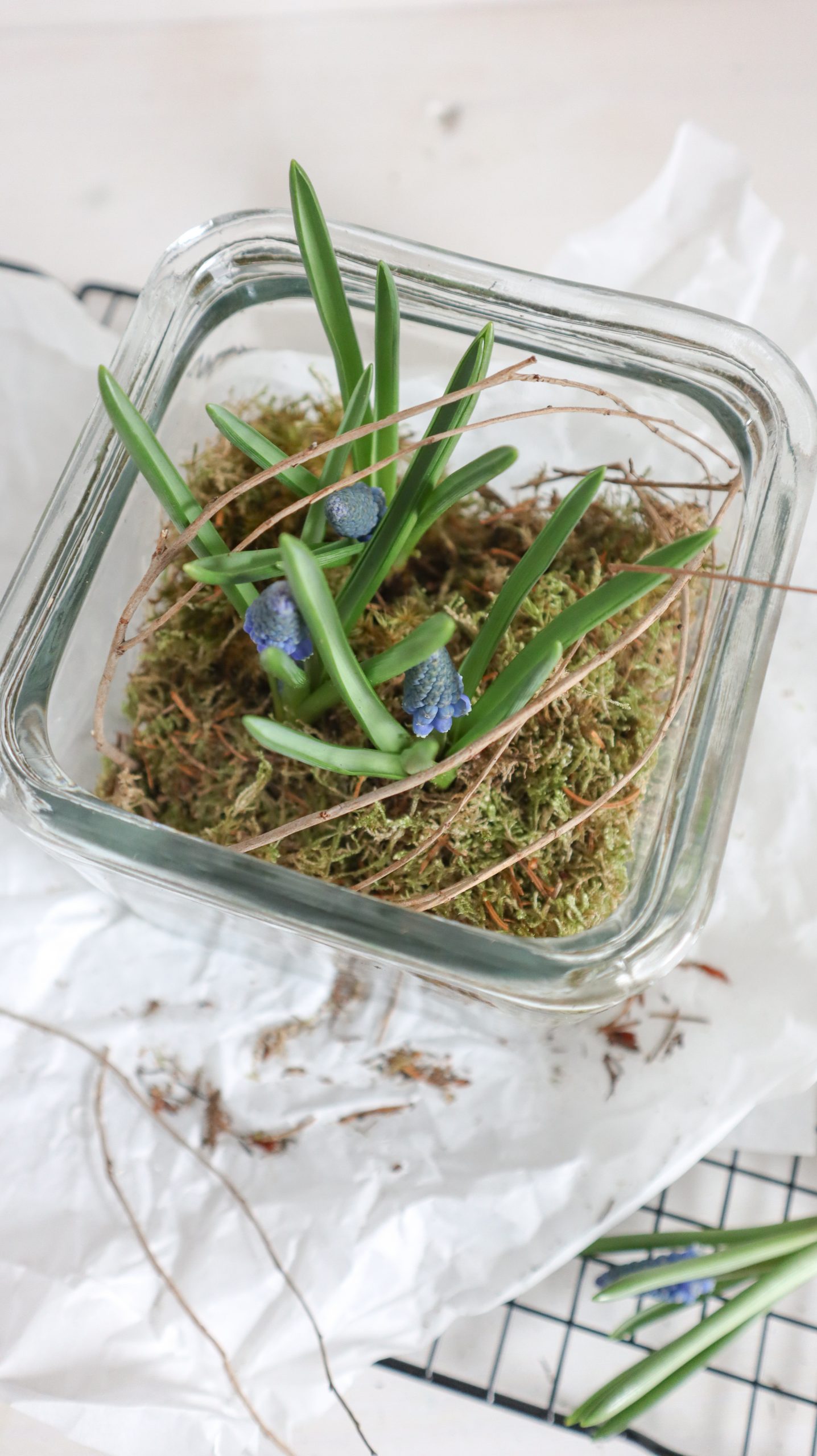 Frühlingsdeko basteln mit Naturmaterialien: Blumenzwiebeln im Glas - Kati make it - Einfach selber machen