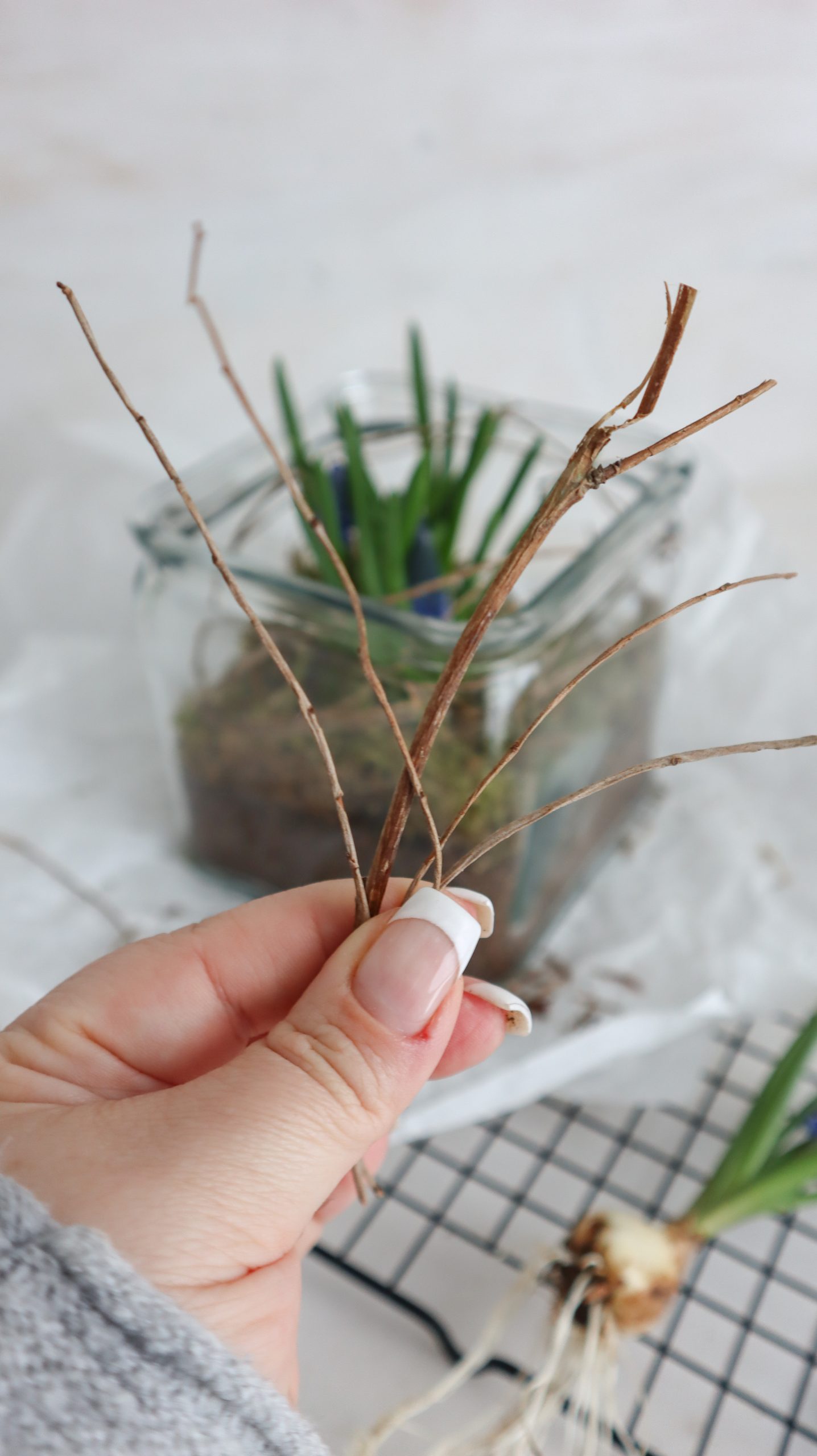 schöne und natürliche Frühlingsdeko mit Traubenhyazinthen und Naturmaterialien