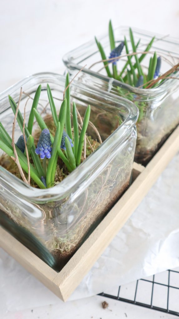 schöne und natürliche Frühlingsdeko mit Traubenhyazinthen und Naturmaterialien