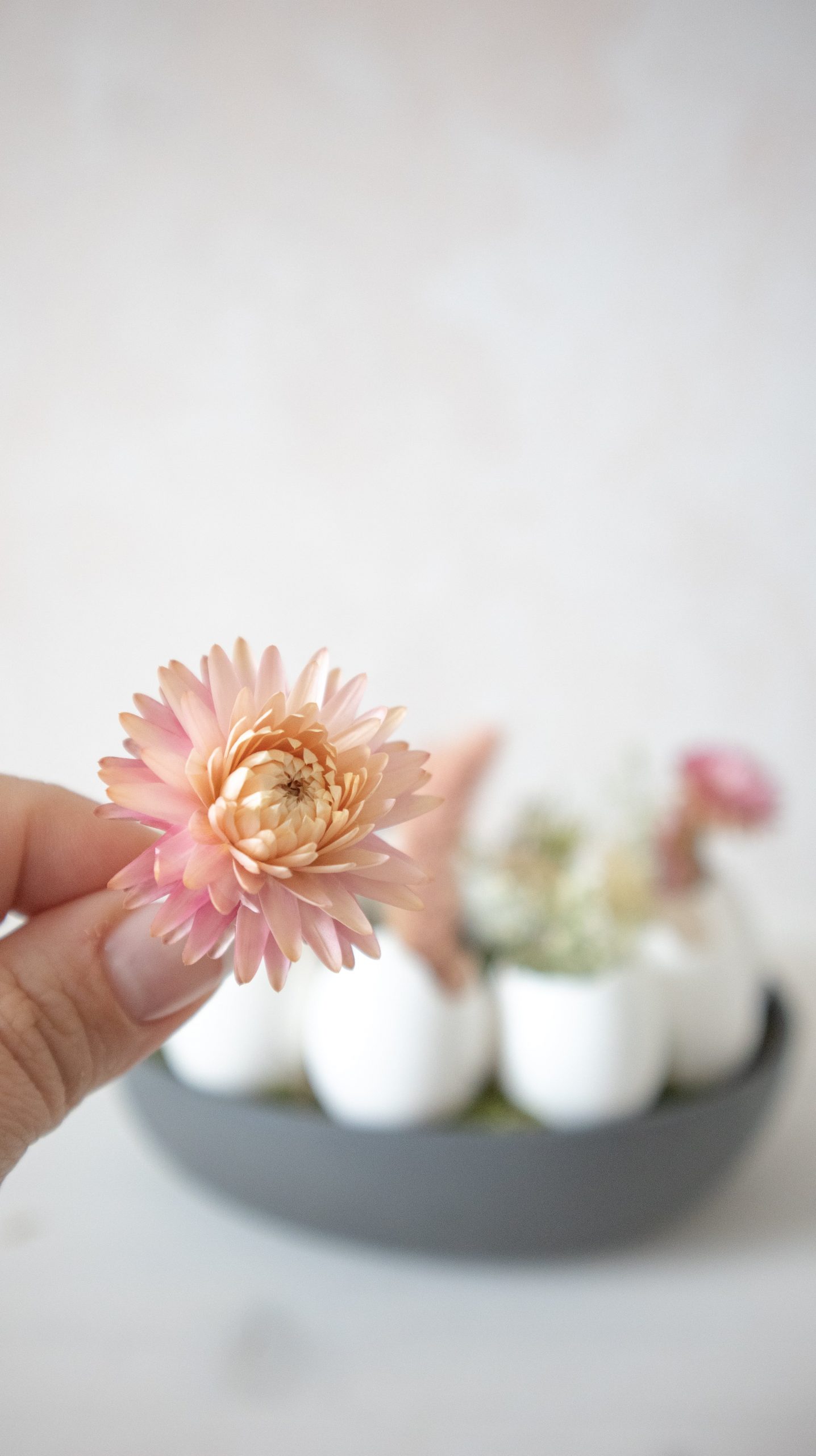 Last Minute Osterdeko basteln: DIY Eierkranz aus Eierschalen & Trockenblumen für deine Tischdeko einfach selber machen mit Naturmaterialien.