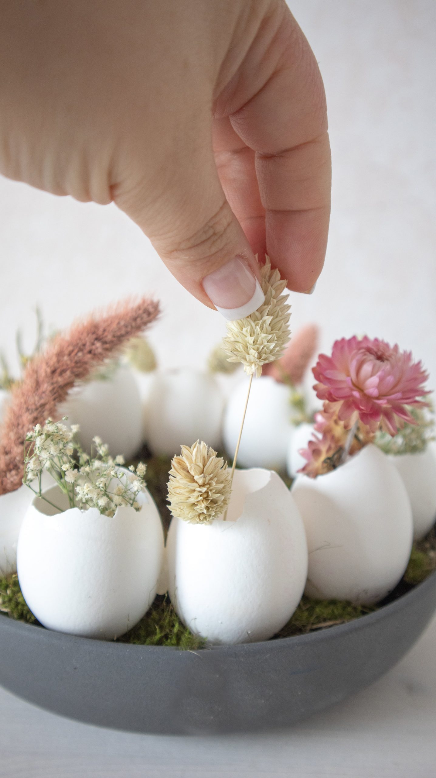 Osterdeko basteln : DIY Eierkranz aus Eierschalen & Trockenblumen