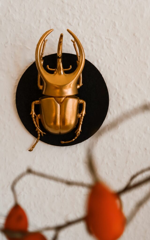Edle Deko zu Halloween selber machen: Vergoldete Insekten-Galerie | Kati Make It!
