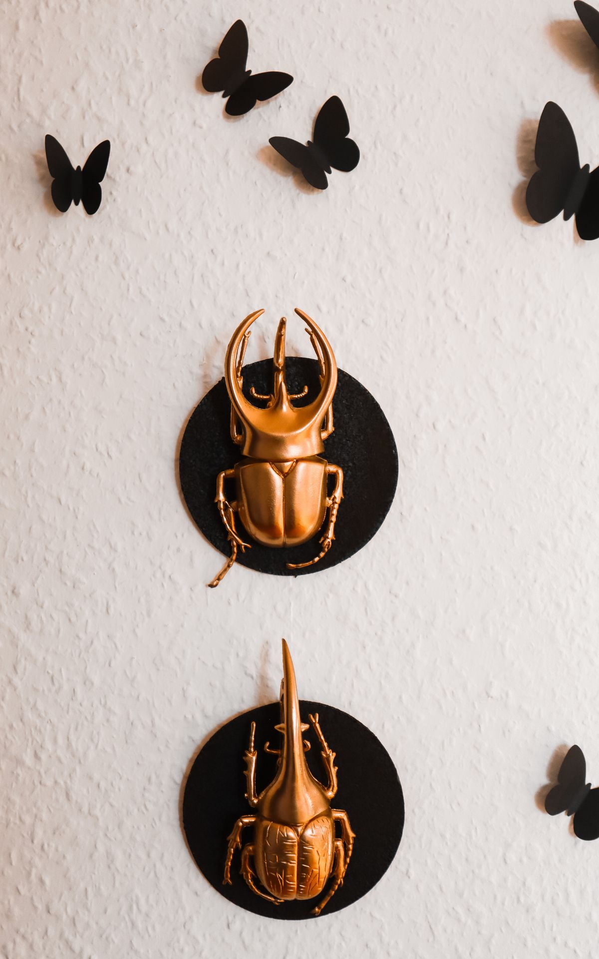 Verpasse deiner Deko zu Halloween einen Hauch von Eleganz mit dieser vergoldeten DIY Insekten-Galerie! Die perfekte Halloween Deko zum Einfach-Selber-Machen.