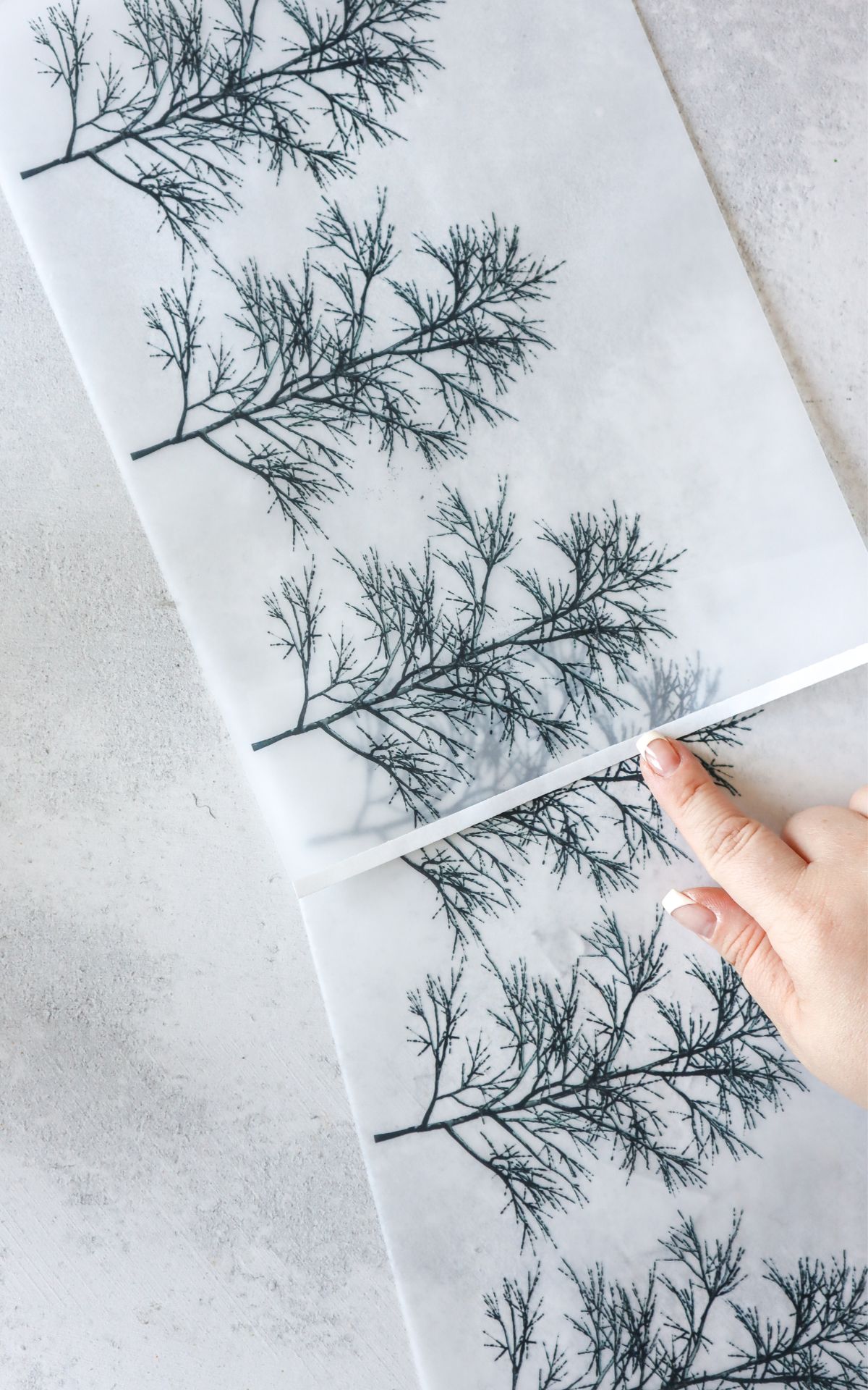 Windlichter basteln? Ganz einfach! So kannst du aus etwas Papier und Stickrahmen zauberhafte Windlichter selber machen. Tolle Deko Idee für Herbst & Weihnachten.
