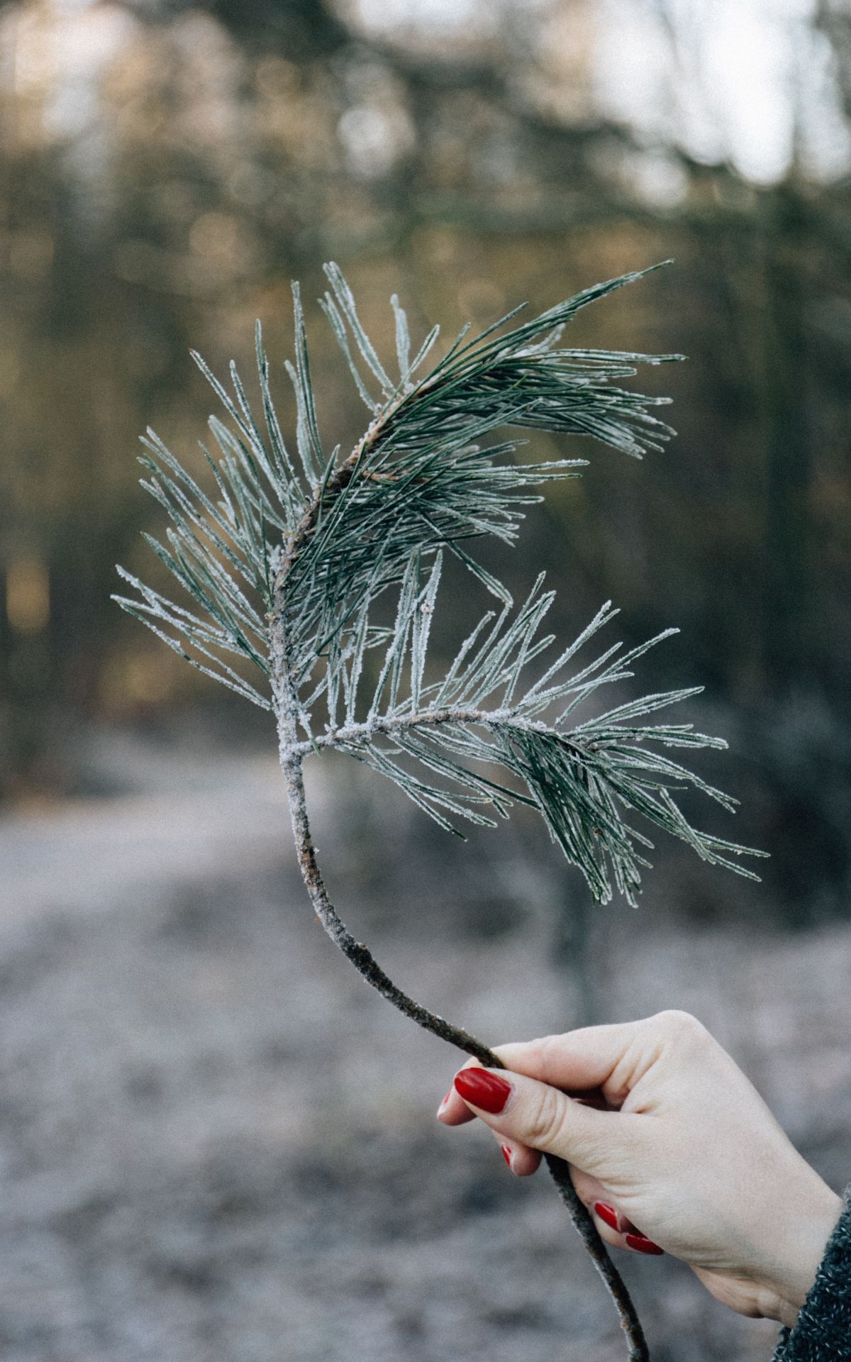 Geschenke nachhaltig verpacken? Mit diesen 5 Ideen für nachhaltige(re) Geschenkverpackung produzierst du garantiert weniger Müll - nicht nur zu Weihnachten.