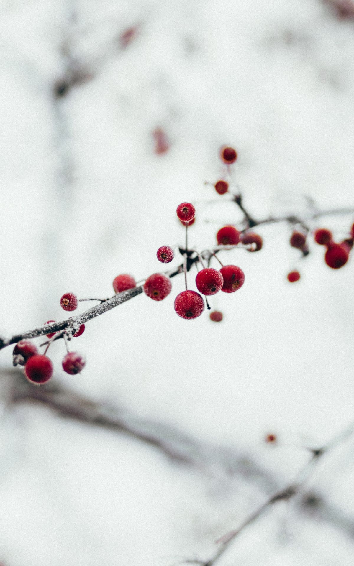 Erlebe festliche Kreativität im Breuningerland Sindelfingen: Kostenlose DIY-Workshops mit Kati Make It 06., 13. & 20.12.2023! Komm vorbei und lass dich inspirieren.