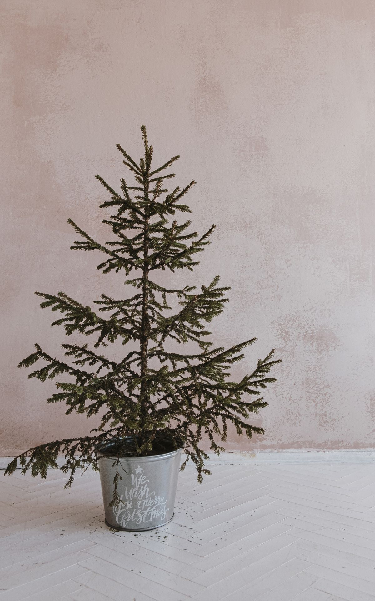 Erlebe unvergessliche Weihnachtsmomente in meinen kostenlosen DIY Workshops im CANO Singen 01.-16.12.2023! Komm vorbei und lass uns gemeinsam kreativ werden.
