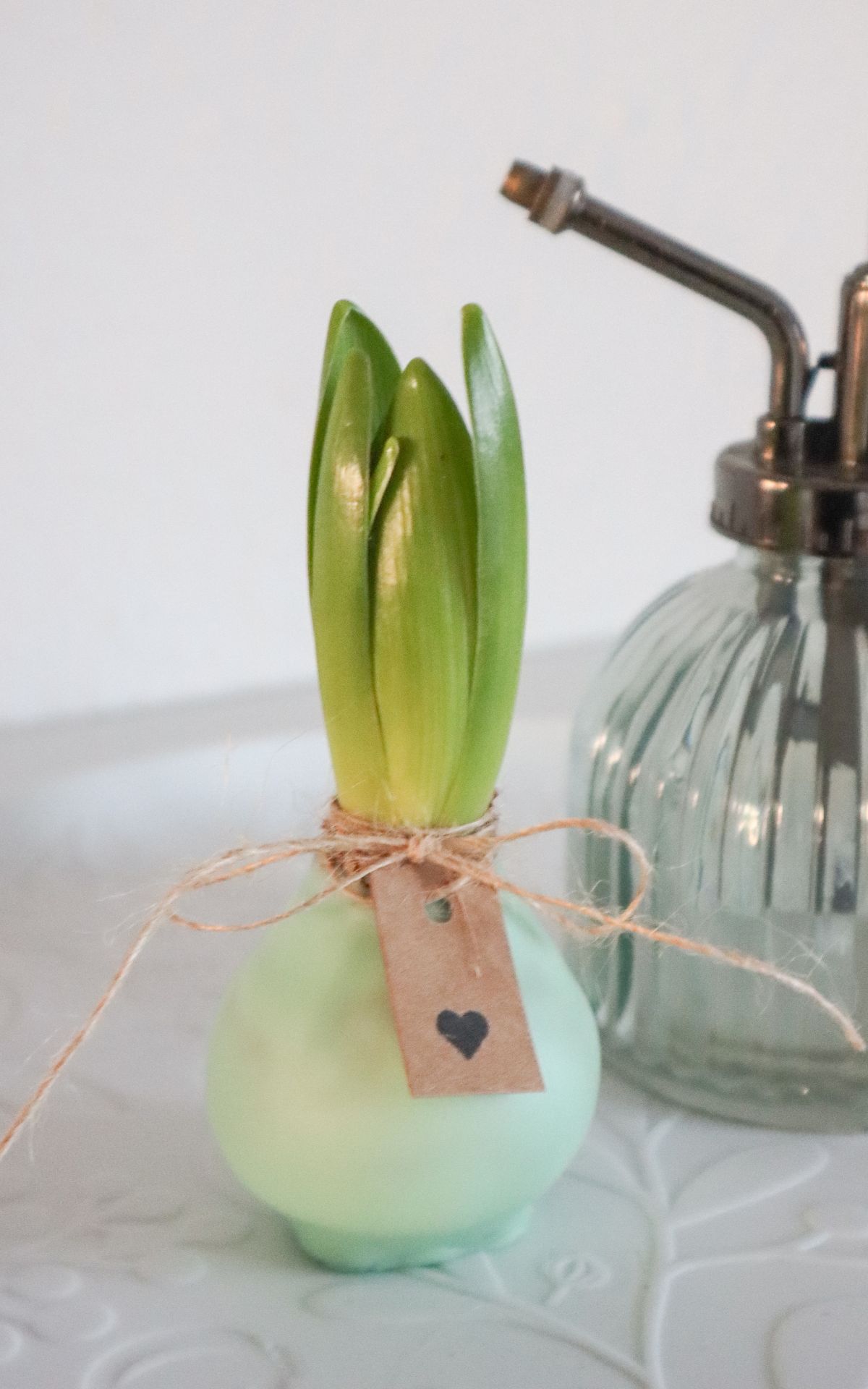 Nie wieder Blumen gießen mit Hyazinthen in Wachs, Moos und Papier! So machst du Wachs Hyazinthen einfach selber - auch mit anderen Blumenzwiebeln wie z.B. Amaryllis. Eine pflegeleichte DIY Frühlingsdeko & Geschenkidee. | Hyazinthen in Wachs, Moos und Papier - Meine DIY Frühlingsdeko bekannt aus SWR Kaffee oder Tee