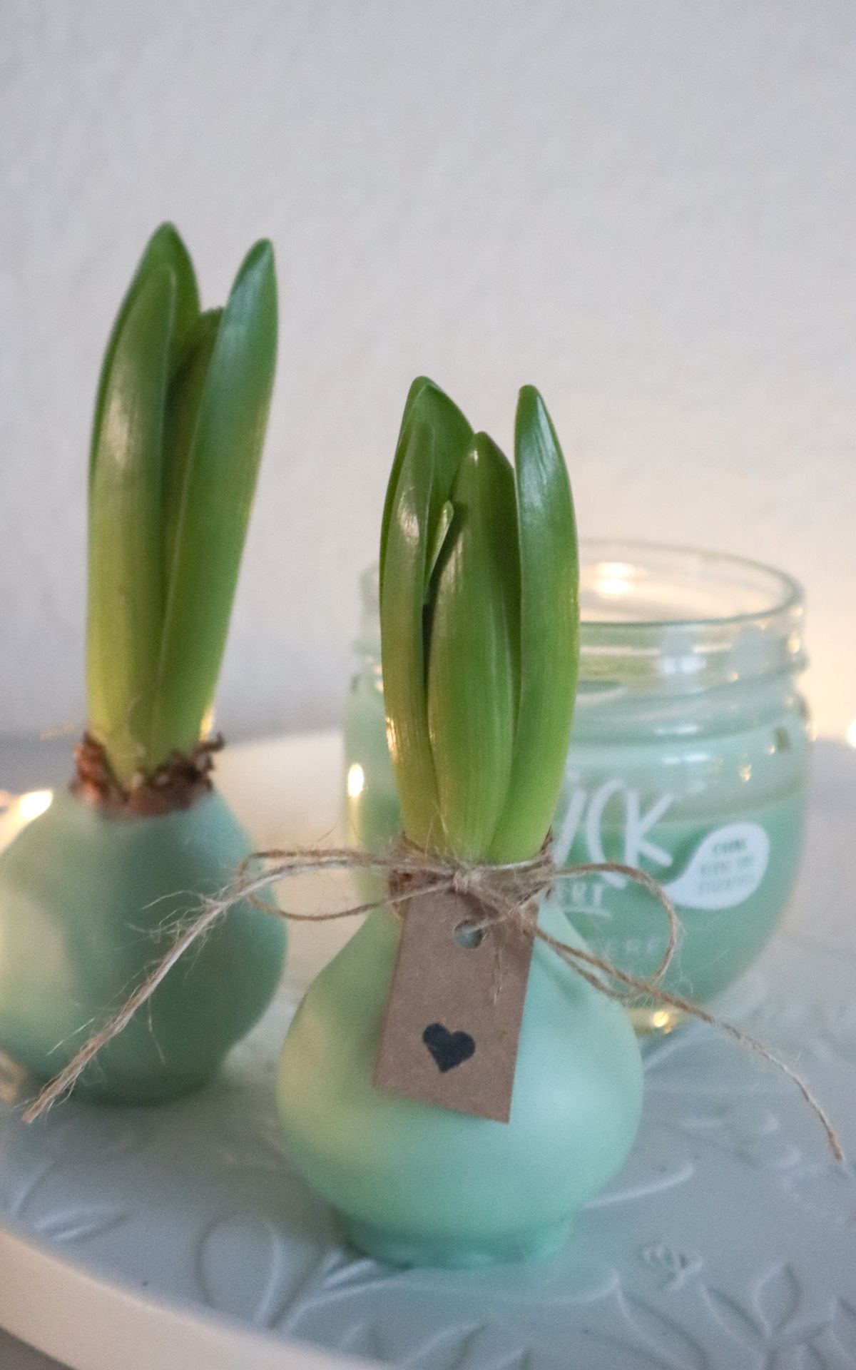 Nie wieder Blumen gießen mit Hyazinthen in Wachs, Moos und Papier! So machst du Wachs Hyazinthen einfach selber - auch mit anderen Blumenzwiebeln wie z.B. Amaryllis. Eine pflegeleichte DIY Frühlingsdeko & Geschenkidee. | Hyazinthen in Wachs, Moos und Papier - Meine DIY Frühlingsdeko bekannt aus SWR Kaffee oder Tee
