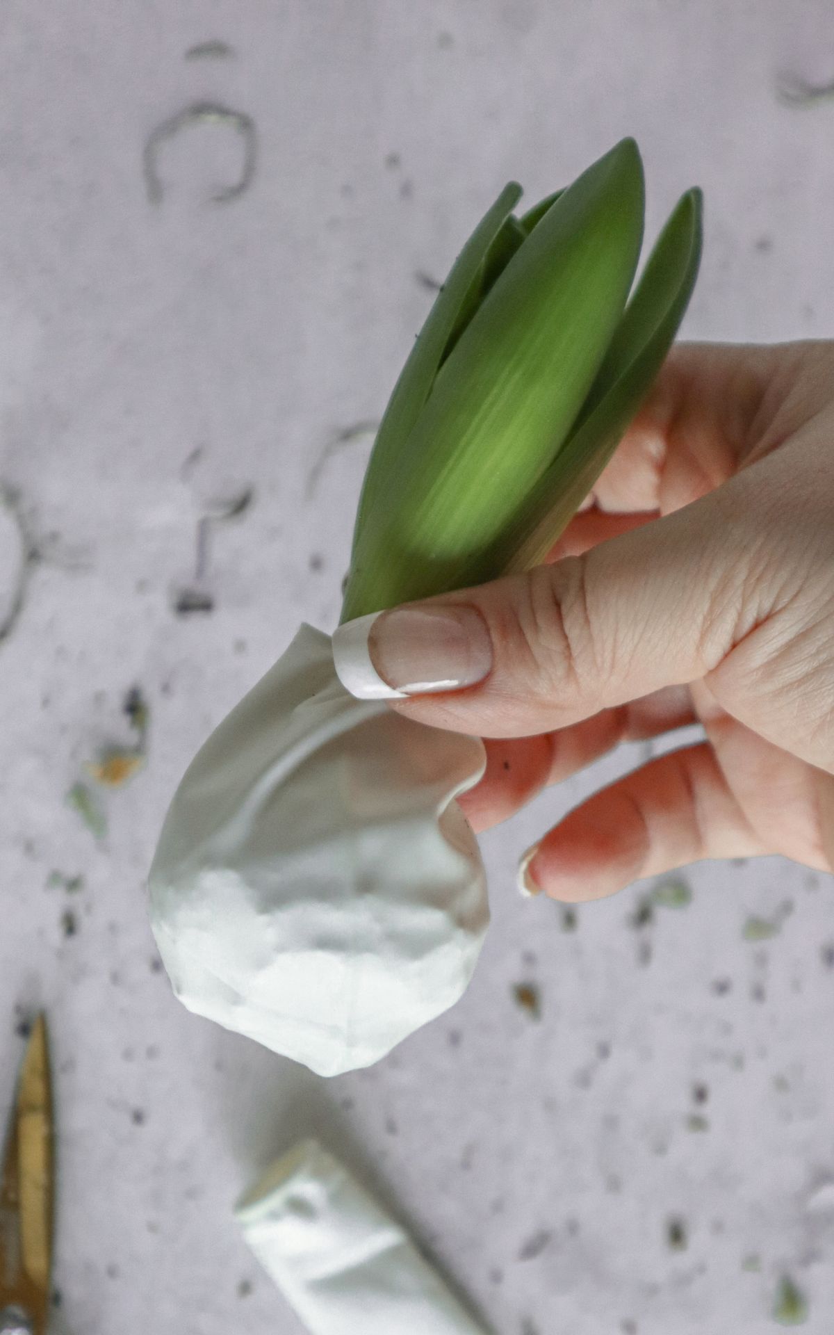 Nie wieder Blumen gießen mit Hyazinthen in Wachs, Moos und Papier! So machst du Wachs Hyazinthen einfach selber - auch mit anderen Blumenzwiebeln wie z.B. Amaryllis. Eine pflegeleichte DIY Frühlingsdeko & Geschenkidee. | Hyazinthen in Wachs, Moos und Papier - Meine DIY Frühlingsdeko bekannt aus SWR Kaffee oder Tee