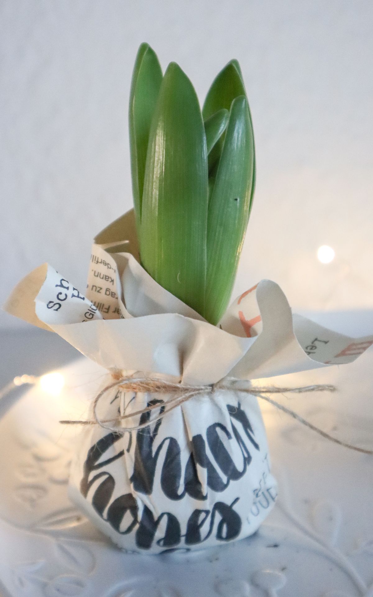 Nie wieder Blumen gießen mit Hyazinthen in Wachs, Moos und Papier! So machst du Wachs Hyazinthen einfach selber - auch mit anderen Blumenzwiebeln wie z.B. Amaryllis. Eine pflegeleichte DIY Frühlingsdeko & Geschenkidee. | Hyazinthen in Wachs, Moos und Papier - Meine DIY Frühlingsdeko bekannt aus SWR Kaffee oder Tee