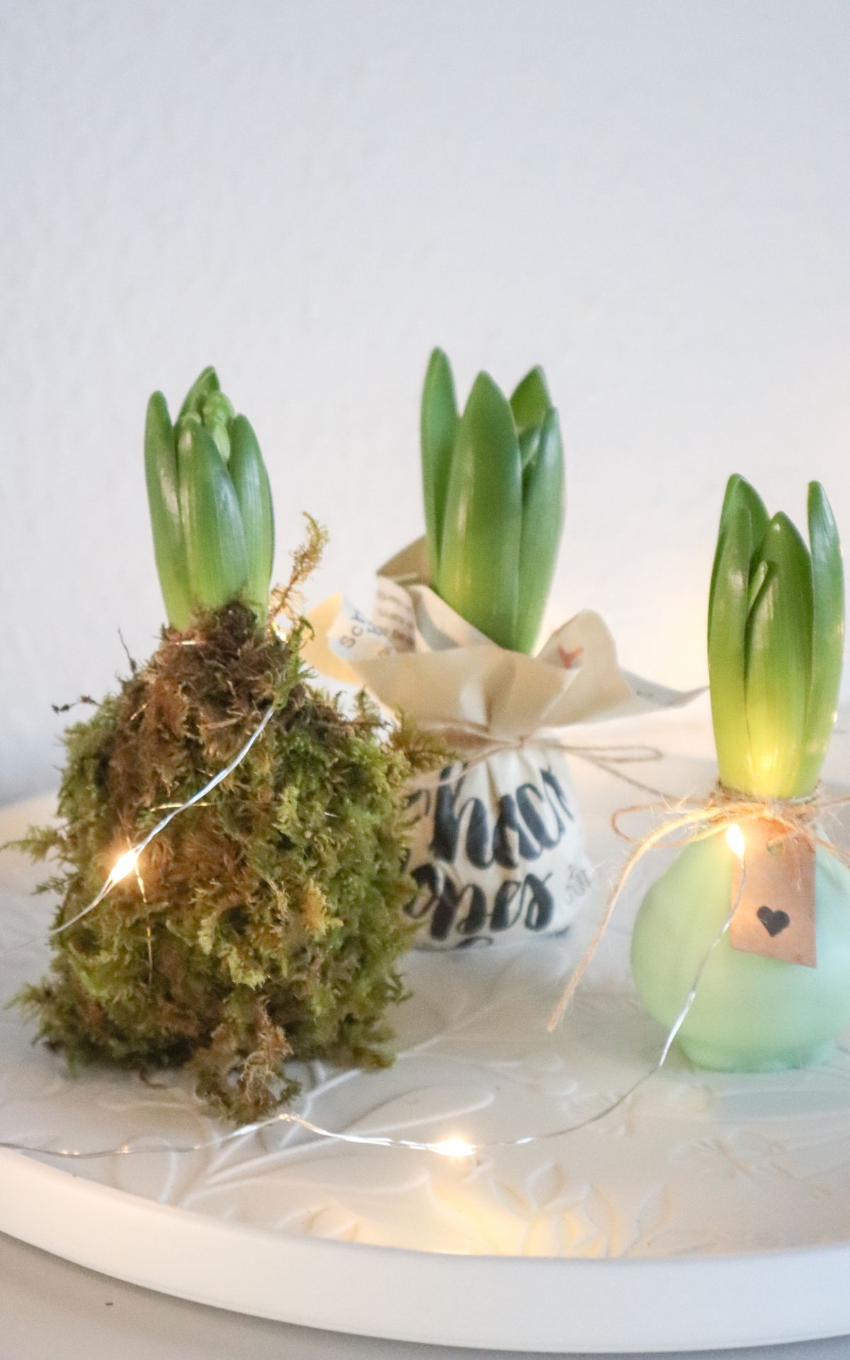 Nie wieder Blumen gießen mit Hyazinthen in Wachs, Moos und Papier! So machst du Wachs Hyazinthen einfach selber - auch mit anderen Blumenzwiebeln wie z.B. Amaryllis. Eine pflegeleichte DIY Frühlingsdeko & Geschenkidee. | Hyazinthen in Wachs, Moos und Papier - Meine DIY Frühlingsdeko bekannt aus SWR Kaffee oder Tee