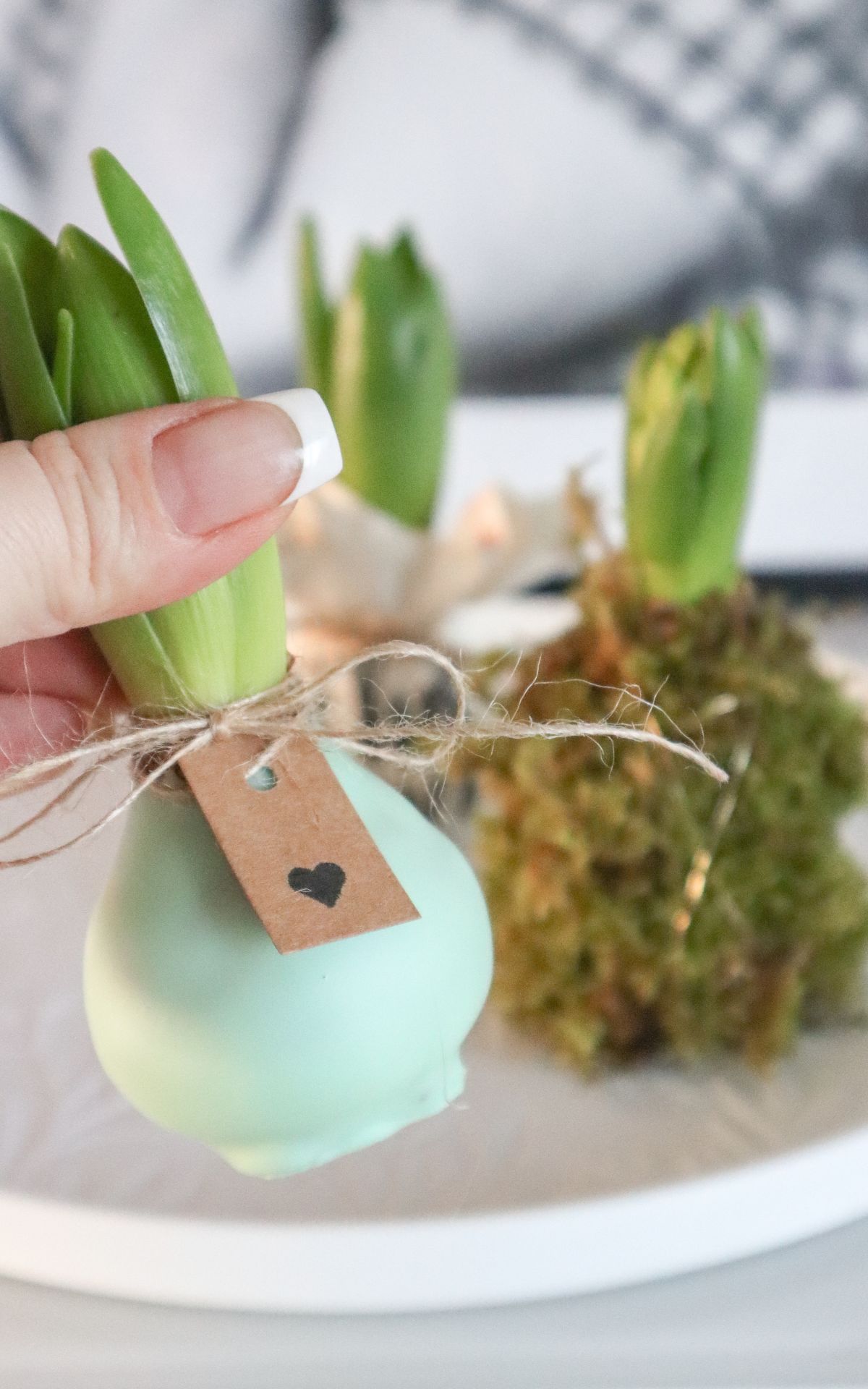 Nie wieder Blumen gießen mit Hyazinthen in Wachs, Moos und Papier! So machst du Wachs Hyazinthen einfach selber - auch mit anderen Blumenzwiebeln wie z.B. Amaryllis. Eine pflegeleichte DIY Frühlingsdeko & Geschenkidee. | Hyazinthen in Wachs, Moos und Papier - Meine DIY Frühlingsdeko bekannt aus SWR Kaffee oder Tee