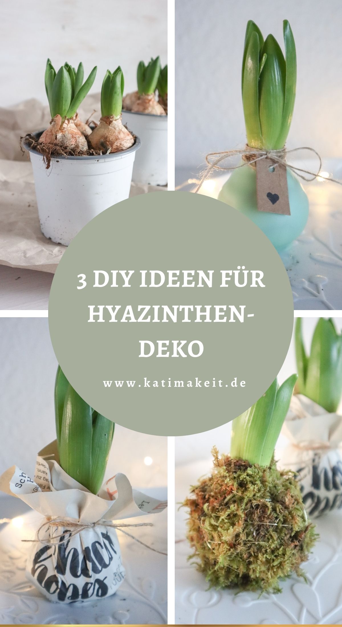 Nie wieder Blumen gießen mit Hyazinthen in Wachs, Moos und Papier! So machst du Wachs Hyazinthen einfach selber - auch mit anderen Blumenzwiebeln wie z.B. Amaryllis. Eine pflegeleichte DIY Frühlingsdeko & Geschenkidee. | Hyazinthen in Wachs, Moos und Papier - Meine DIY Frühlingsdeko bekannt aus SWR Kaffee oder Tee
