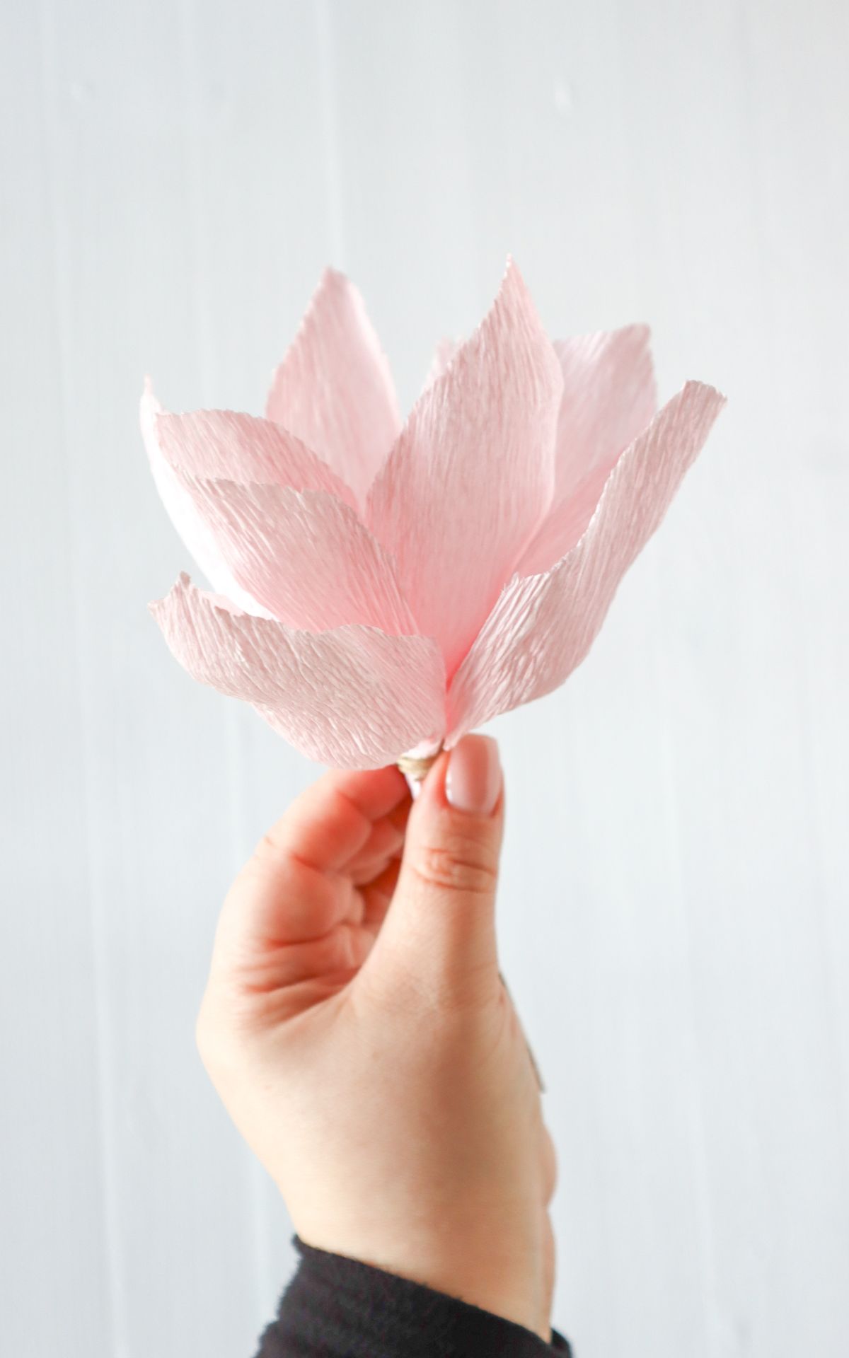 Blumen aus Krepppapier basteln: So einfach kannst du Papier Magnolien für deine Frühjahrsdeko selbst basteln, die nie verwelken. Hier findest du die Schritt-für-Schritt-Anleitung.