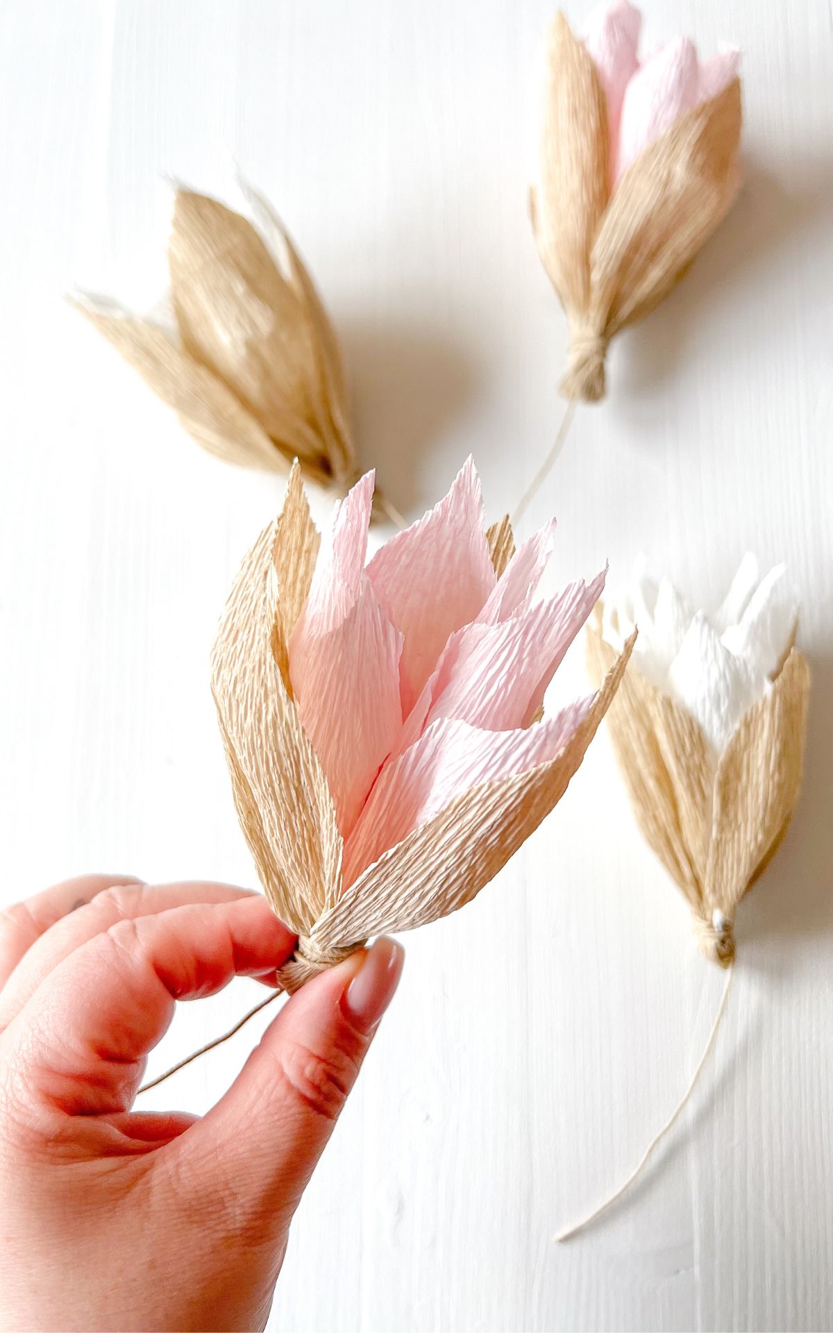 Blumen aus Krepppapier basteln: So einfach kannst du Papier Magnolien für deine Frühjahrsdeko selbst basteln, die nie verwelken. Hier findest du die Schritt-für-Schritt-Anleitung.