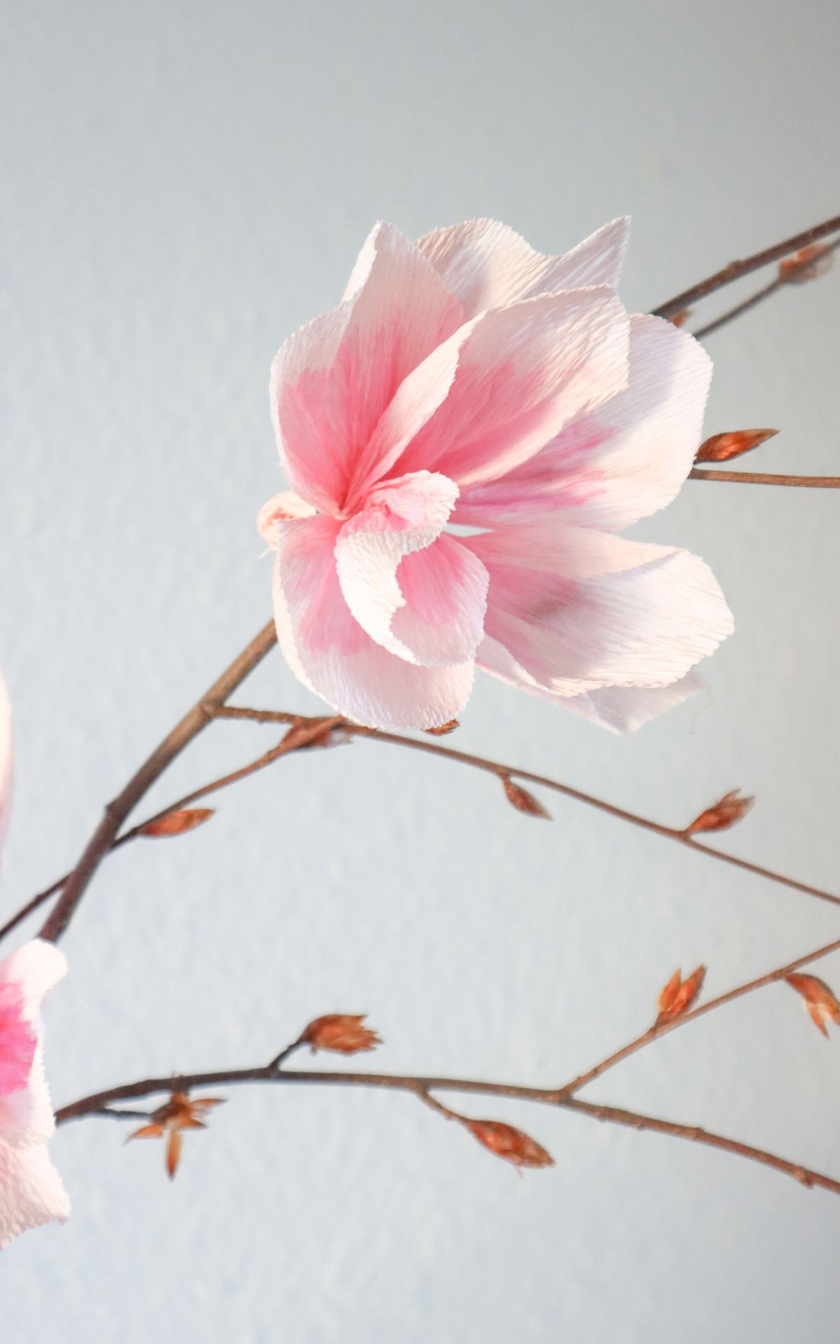 Blumen aus Krepppapier basteln: So einfach kannst du Papier Magnolien für deine Frühjahrsdeko selbst basteln, die nie verwelken. Hier findest du die Schritt-für-Schritt-Anleitung.