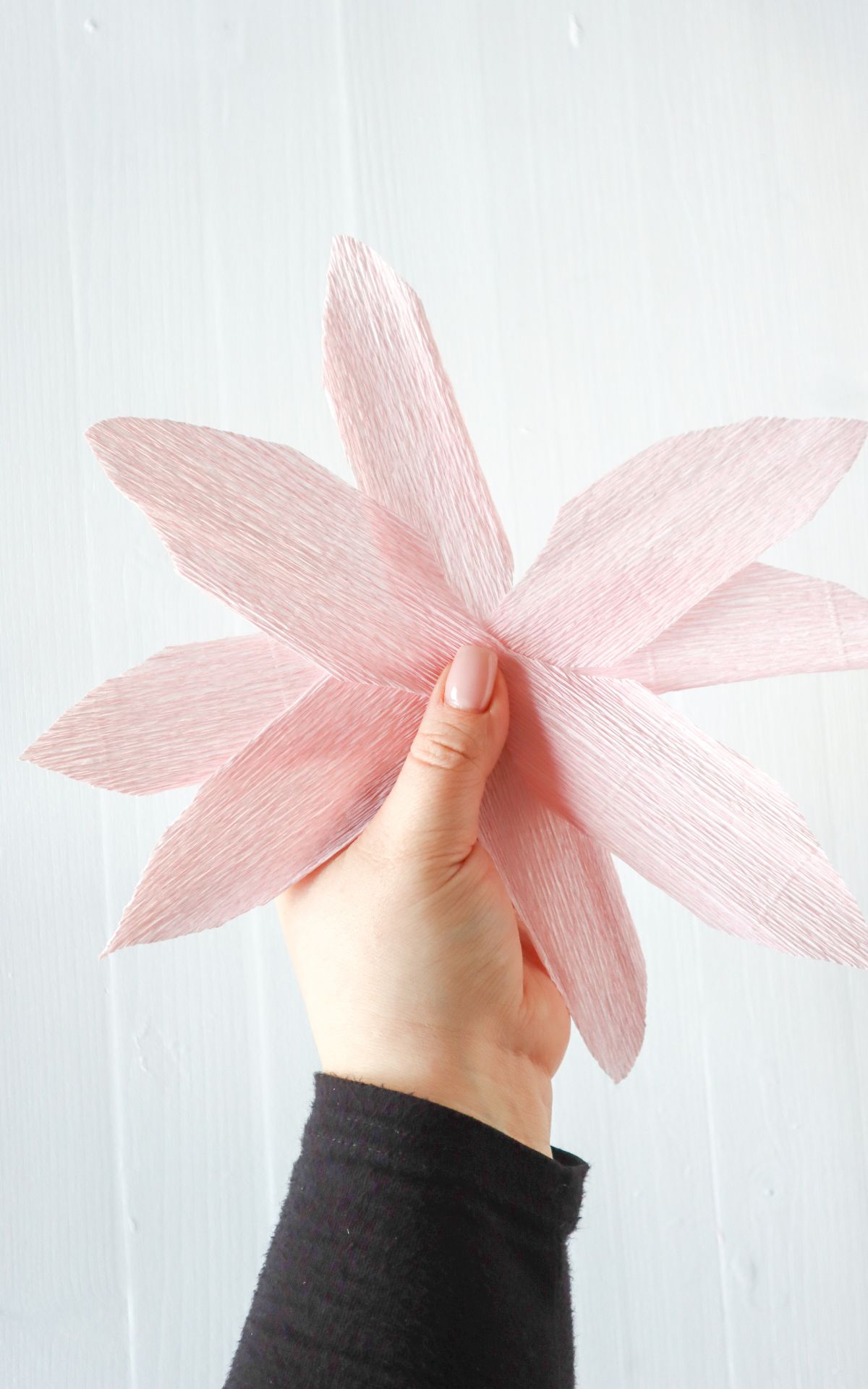 Blumen aus Krepppapier basteln: So einfach kannst du Papier Magnolien für deine Frühjahrsdeko selbst basteln, die nie verwelken. Hier findest du die Schritt-für-Schritt-Anleitung.