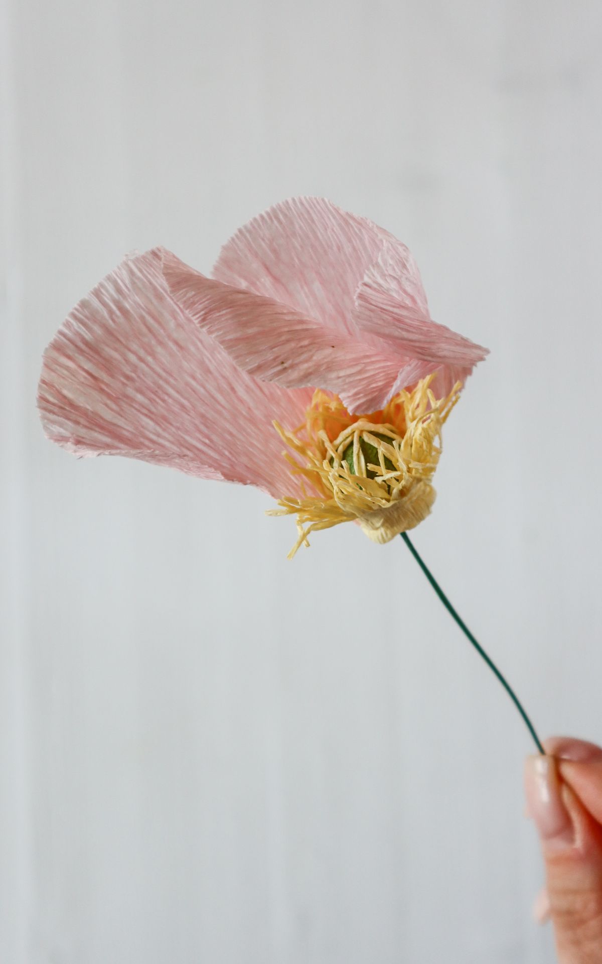 Papierblumen basteln: So kannst du wunderschöne Mohn-Blumen aus Papier ganz leicht selber machen! Hier findest du meine DIY Anleitung für Papierblumen aus Krepp (bekannt aus dem ARD Buffet) inkl. Vorlagen.