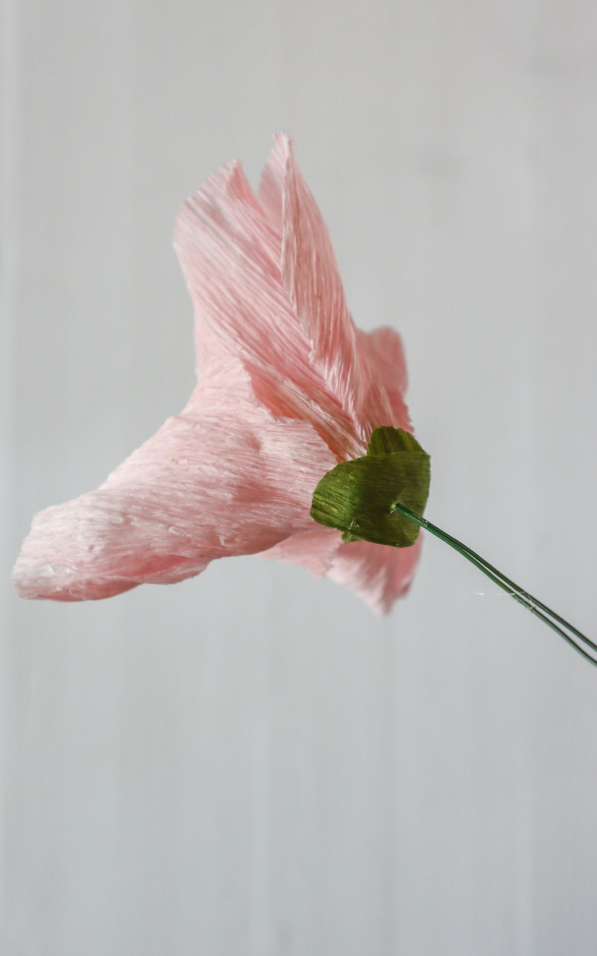 Papierblumen basteln: So kannst du wunderschöne Mohn-Blumen aus Papier ganz leicht selber machen! Hier findest du meine DIY Anleitung für Papierblumen aus Krepp (bekannt aus dem ARD Buffet) inkl. Vorlagen.