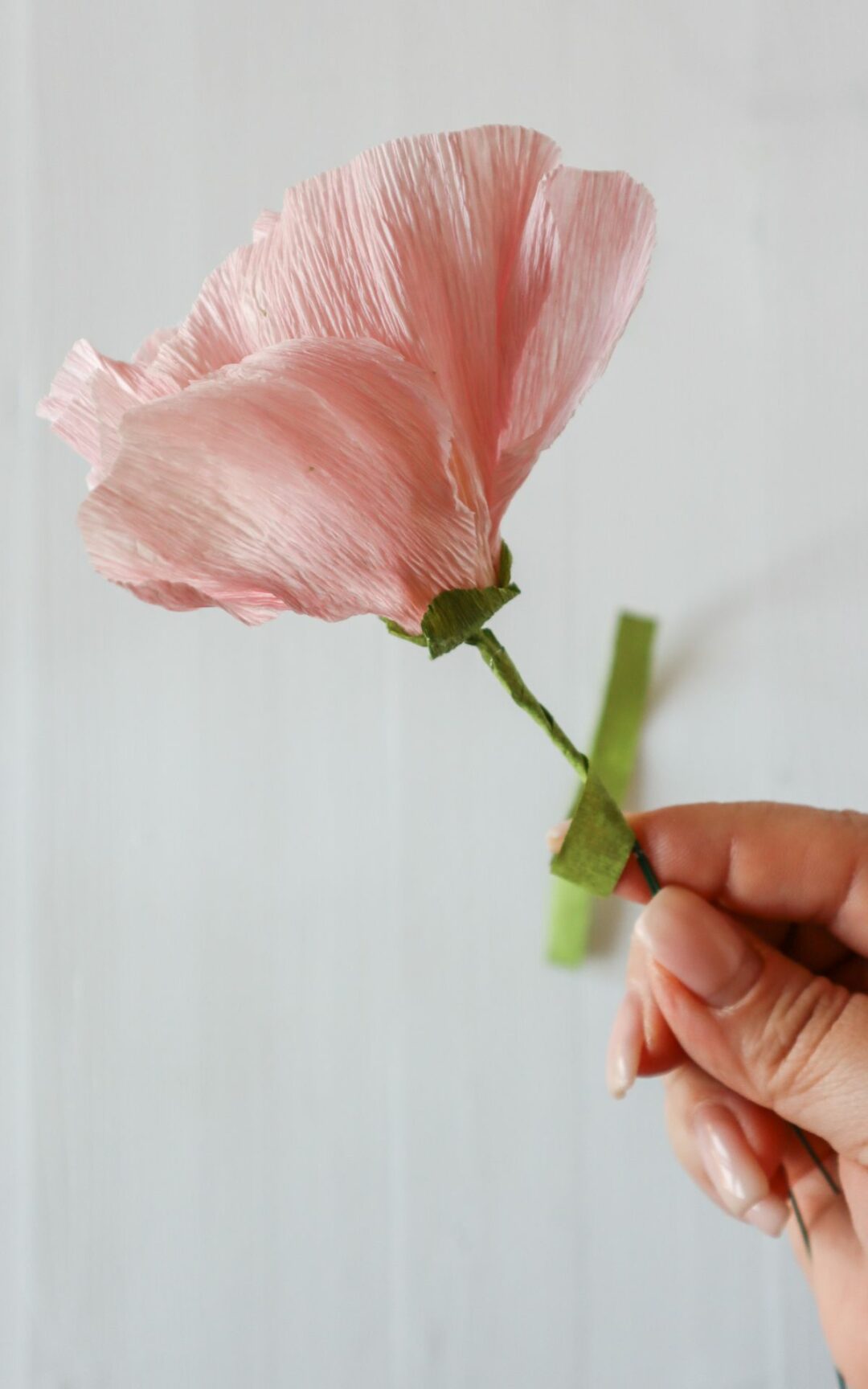 Papierblumen basteln DIY Mohnblüten aus Krepppapier bekannt aus ARD Buffet