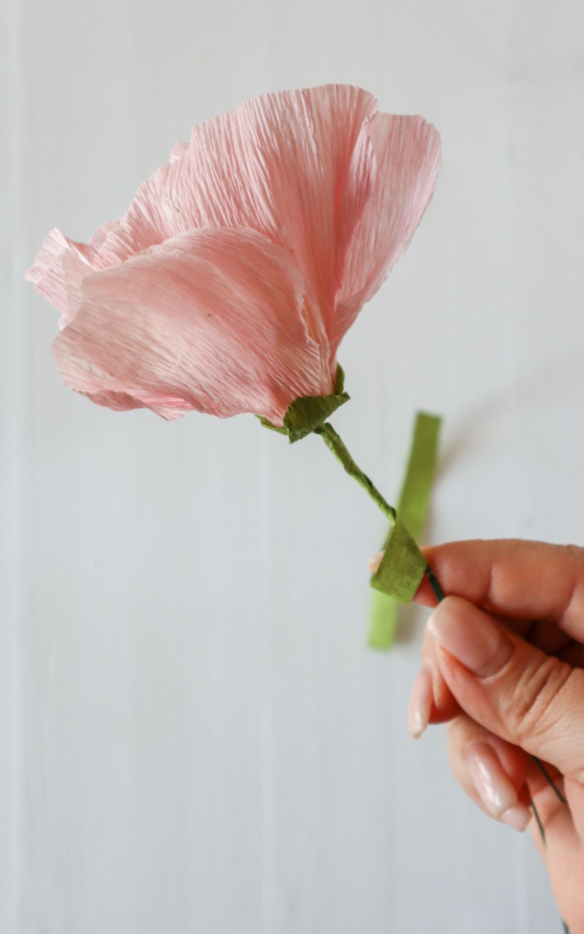 Papierblumen basteln: So kannst du wunderschöne Mohn-Blumen aus Papier ganz leicht selber machen! Hier findest du meine DIY Anleitung für Papierblumen aus Krepp (bekannt aus dem ARD Buffet) inkl. Vorlagen.