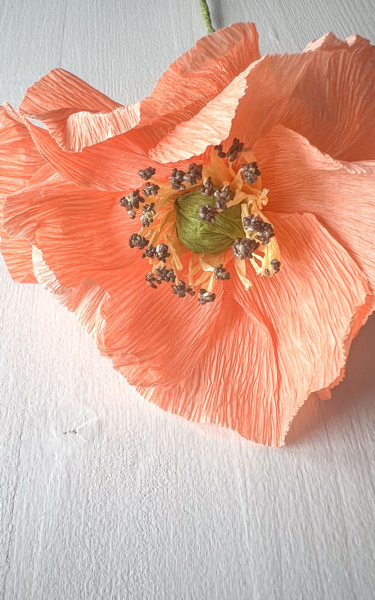 Papierblumen basteln: So kannst du wunderschöne Mohn-Blumen aus Papier ganz leicht selber machen! Hier findest du meine DIY Anleitung für Papierblumen aus Krepp (bekannt aus dem ARD Buffet) inkl. Vorlagen.