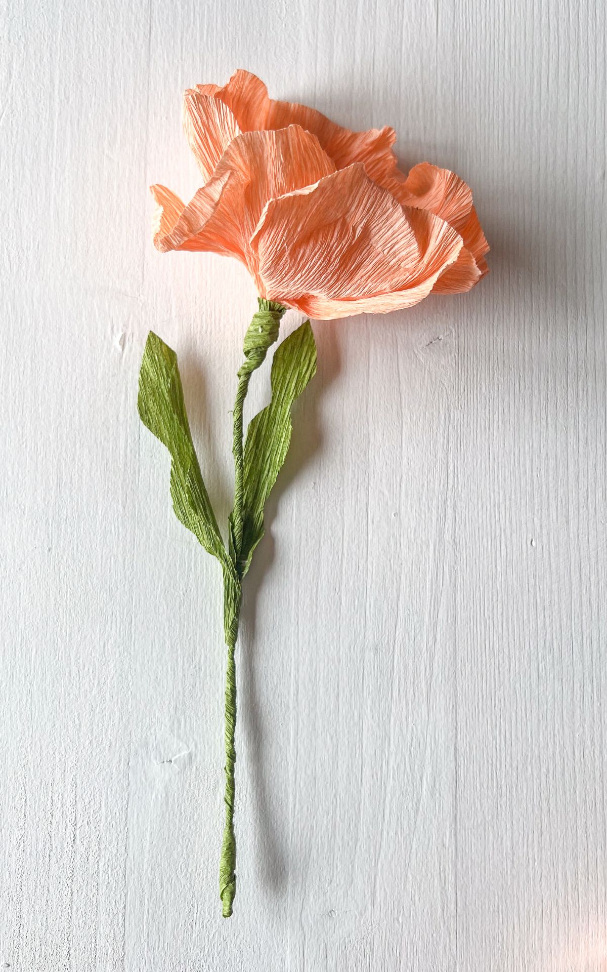 Papierblumen basteln: So kannst du wunderschöne Mohn-Blumen aus Papier ganz leicht selber machen! Hier findest du meine DIY Anleitung für Papierblumen aus Krepp (bekannt aus dem ARD Buffet) inkl. Vorlagen.