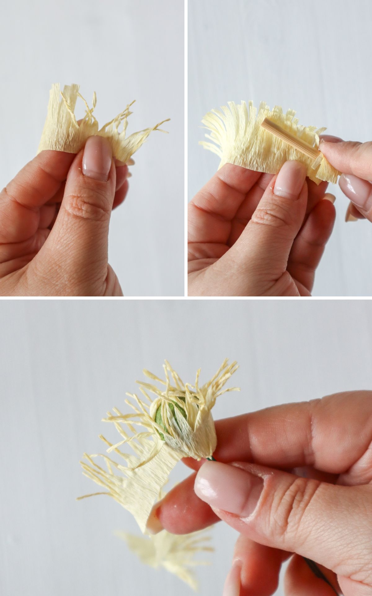 Papierblumen basteln: So kannst du wunderschöne Mohn-Blumen aus Papier ganz leicht selber machen! Hier findest du meine DIY Anleitung für Papierblumen aus Krepp (bekannt aus dem ARD Buffet) inkl. Vorlagen.