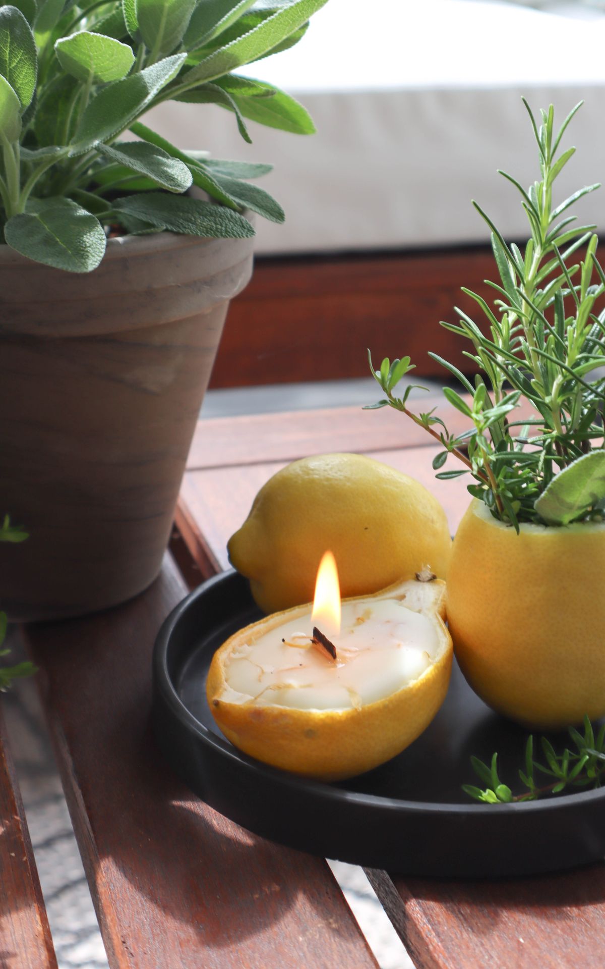 So kannst du Citronella Kerzen selber machen 🍋 und lästige Mücken vertreiben. Meine DIY Anleitung bekannt aus der SWR & WDR Sendung "Sommerfrische - Der Nachmittag im Westen und Südwesten"