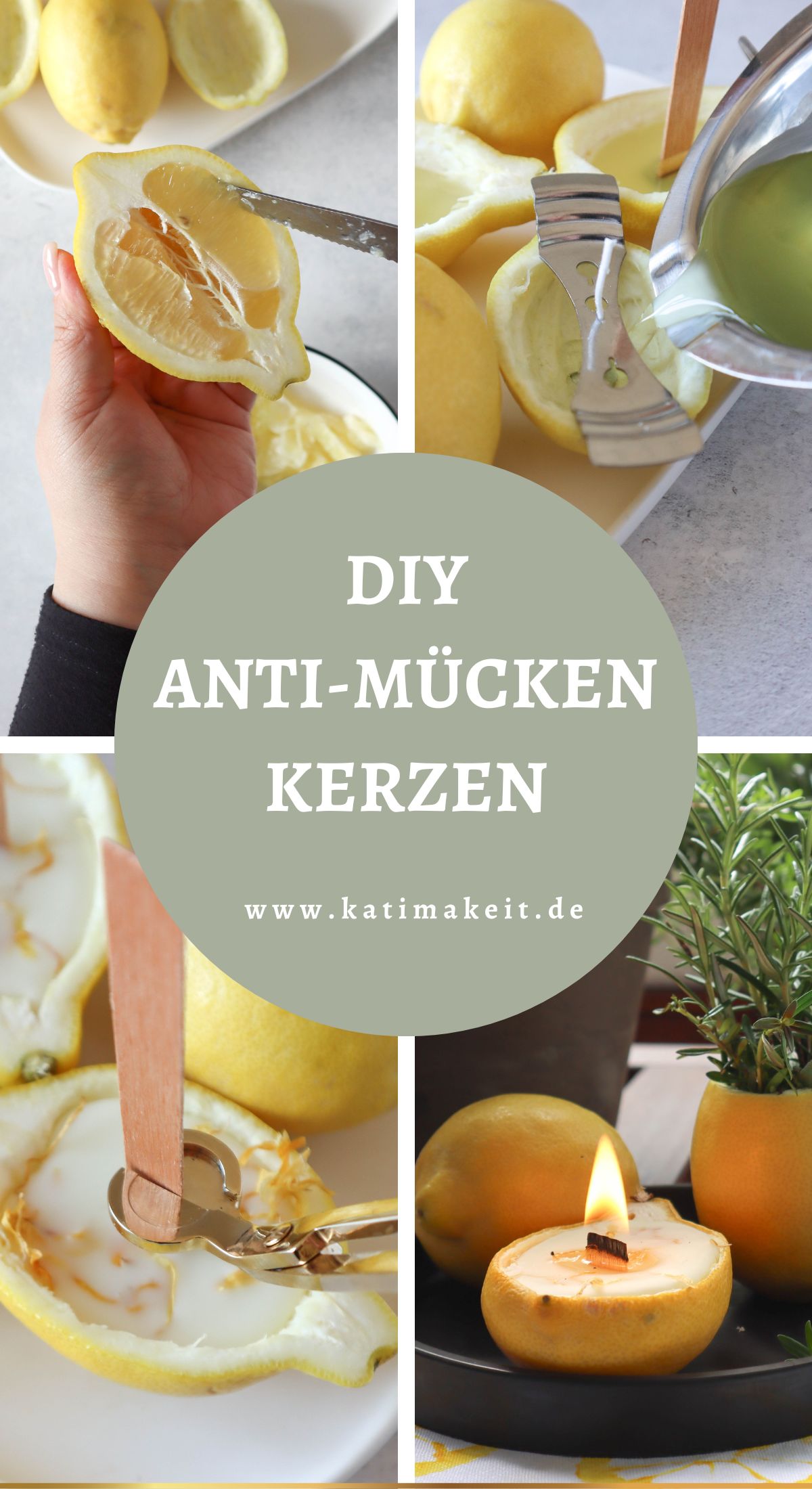So kannst du Citronella Kerzen selber machen 🍋 und lästige Mücken vertreiben. Meine DIY Anleitung bekannt aus der SWR & WDR Sendung "Sommerfrische - Der Nachmittag im Westen und Südwesten"