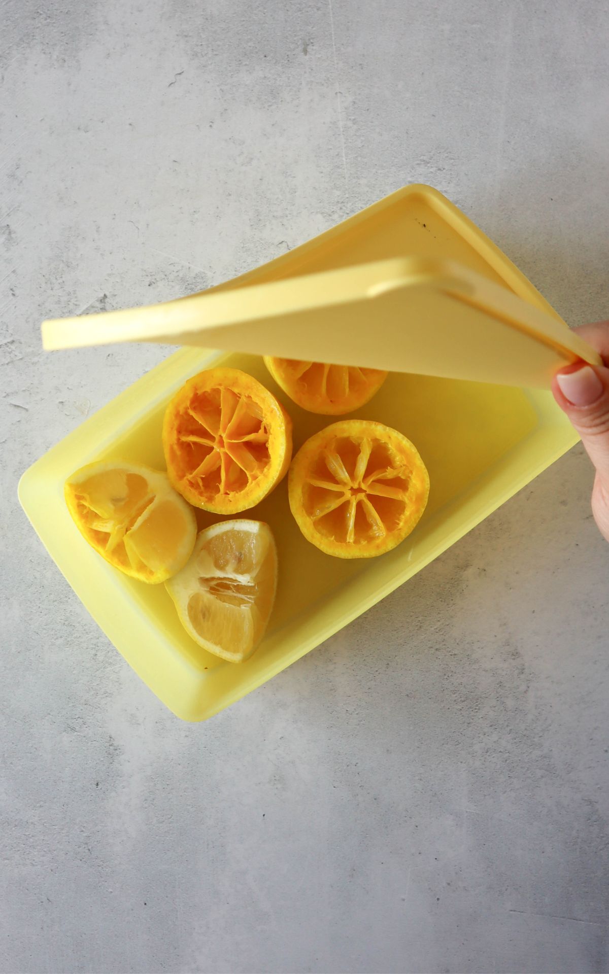 Stoff stempeln mit Zitronen für sommerfrische DIY Deko! 🍋 Meine einfache Stempel-Technik für Servietten, Geschirrtücher & Co. bekannt aus SWR & WDR Fernsehen.
