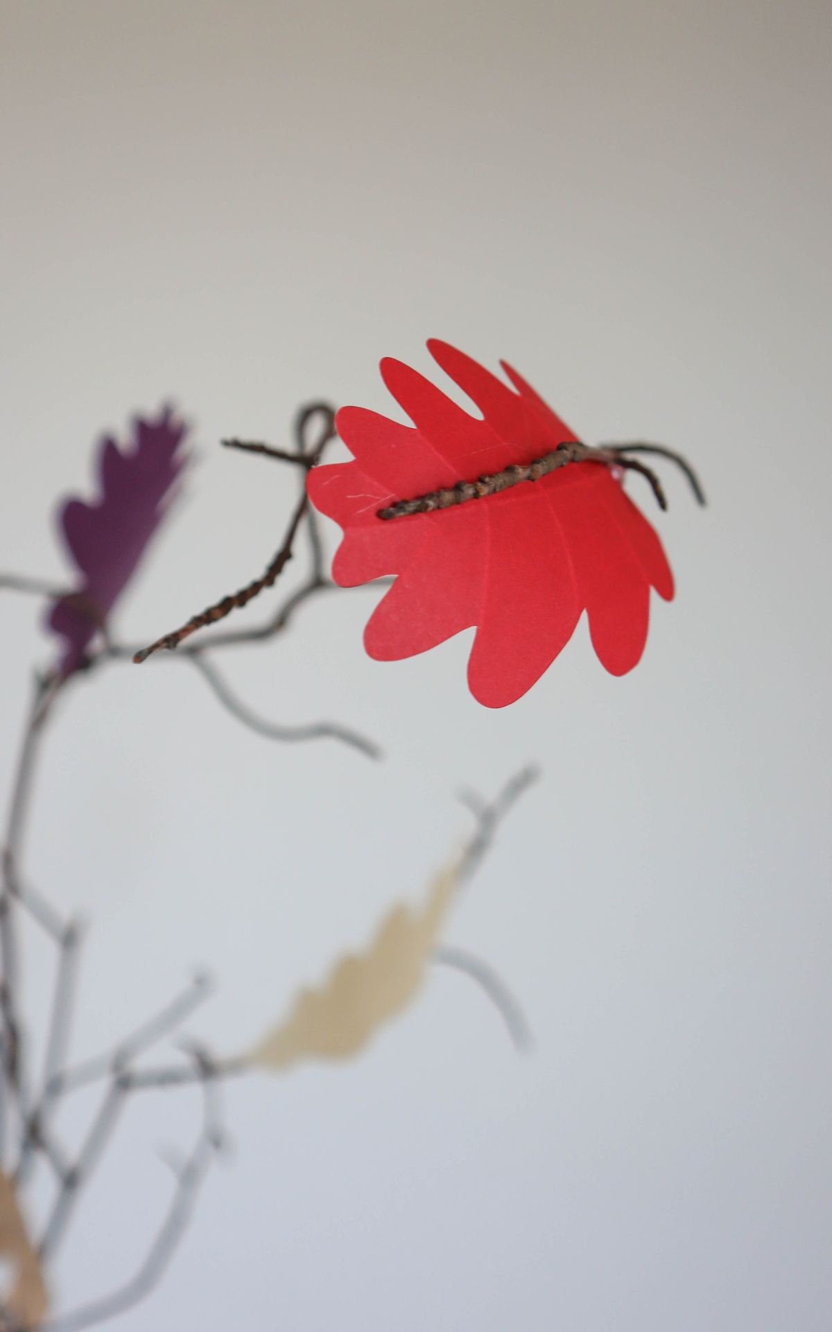 Herbstblätter basteln aus Papier ist eine einfache und schnelle Möglichkeit, deine Herbstdeko aufzupeppen. Mit dieser Anleitung kannst du DIY-Herbstblätter ganz leicht selbst gestalten. Inklusive praktischer Vorlagen zum Nachzeichnen und Basteln. Mein DIY bekannt aus SWR Kaffee oder Tee