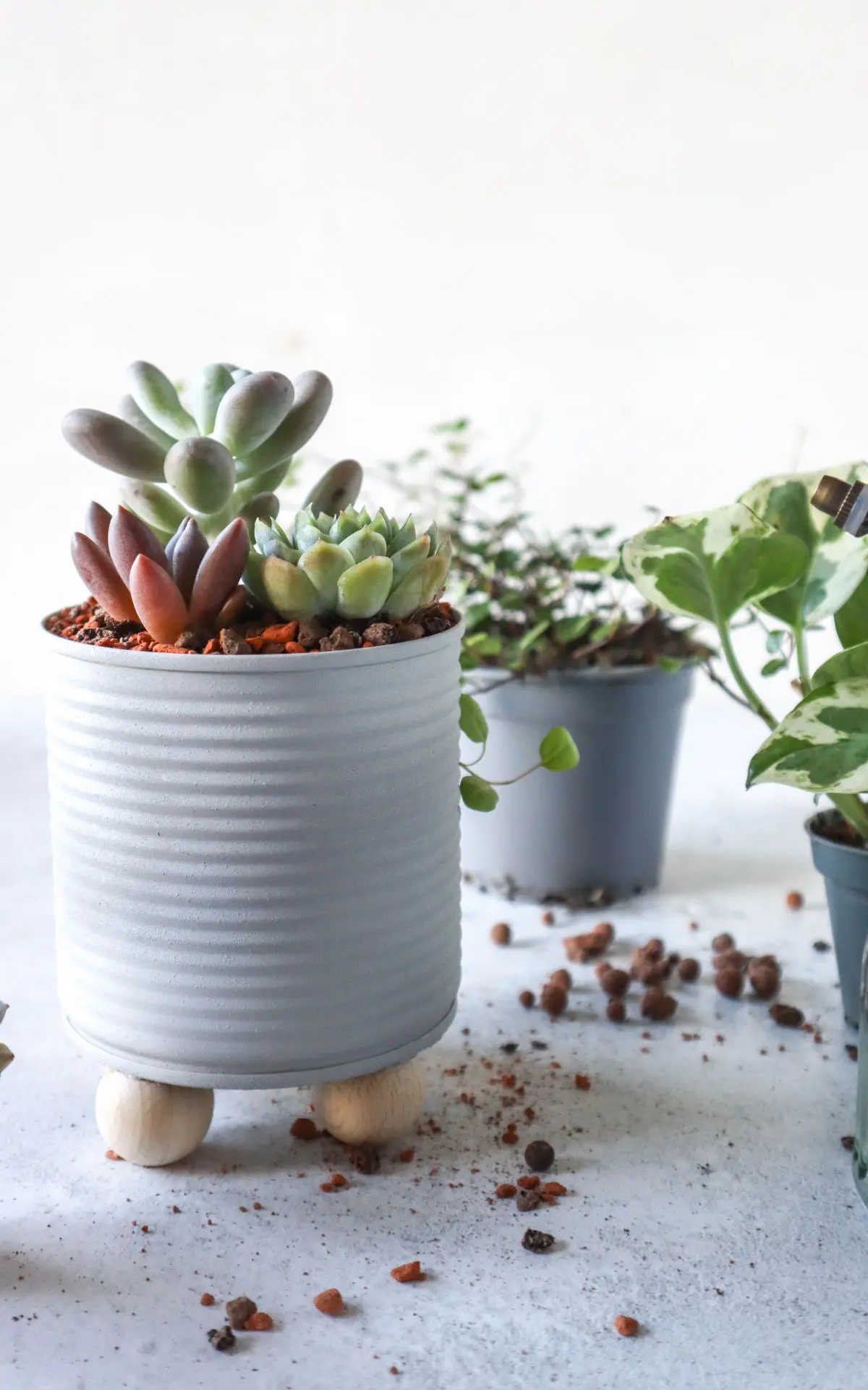 Basteln mit Konservendosen: DIY Blumentöpfe aus alten Dosen