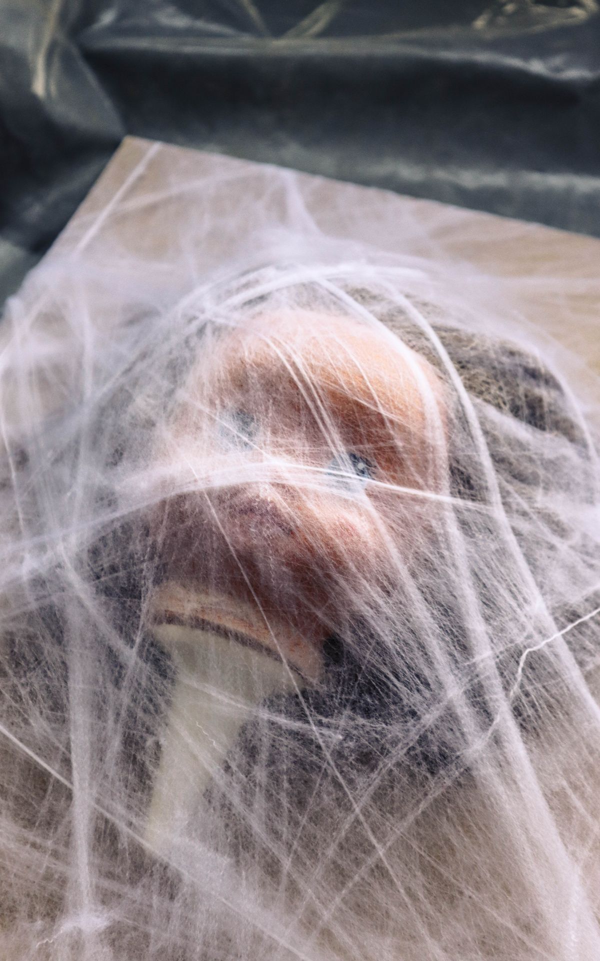 Halloween Idee mit Schockeffekt: DIY Geisterbild als gruselige Deko mit Puppe, Spinnweben & Bilderrahmen in 3D-Optik