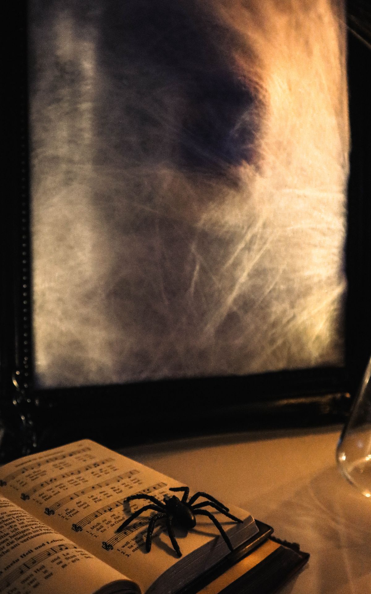 Halloween Idee mit Schockeffekt: DIY Geisterbild als gruselige Deko mit Puppe, Spinnweben & Bilderrahmen in 3D-Optik